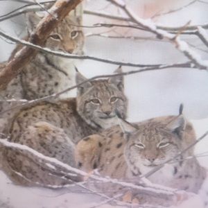 Meet your Posher, Jeremy